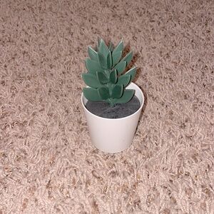 Mini Succulent Plant Decor